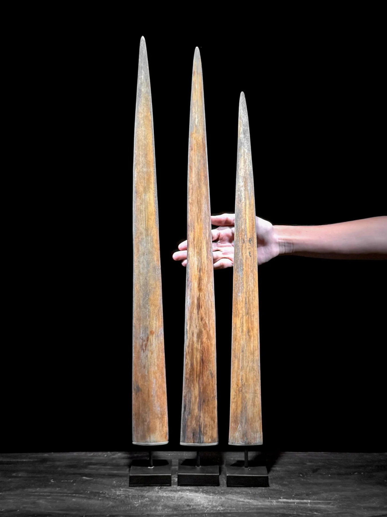 3 pcs real Bills/tusks Swordfish/Swordfish/Marlin/Swordfish na iron stojane (75cm)