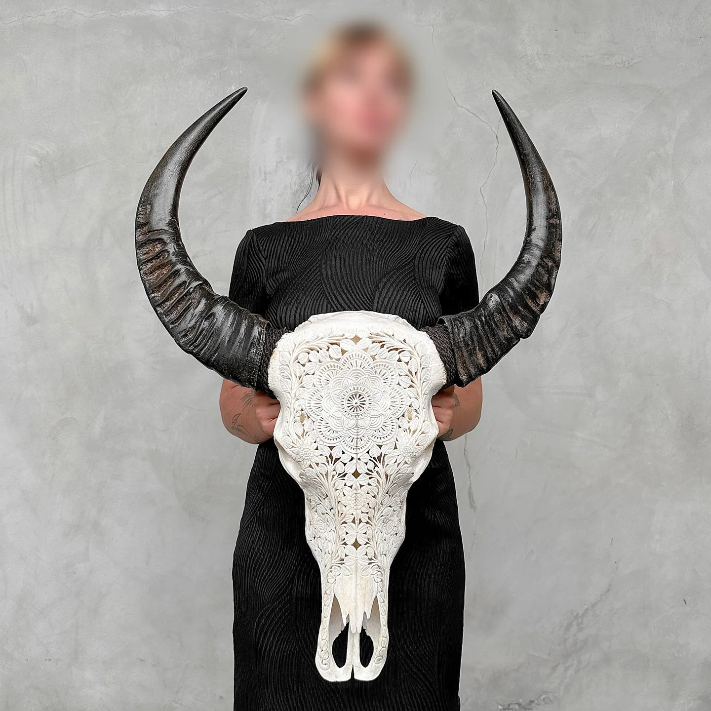 Authentic biela carved skull Water buffalo - motif floral mandala - Bubalus Bubalis