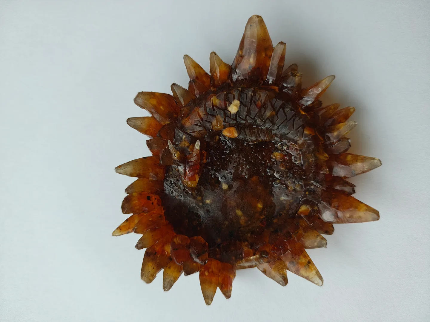 Miska na kocky "Spiaci drak" in Baltic Amber + 8 kociek